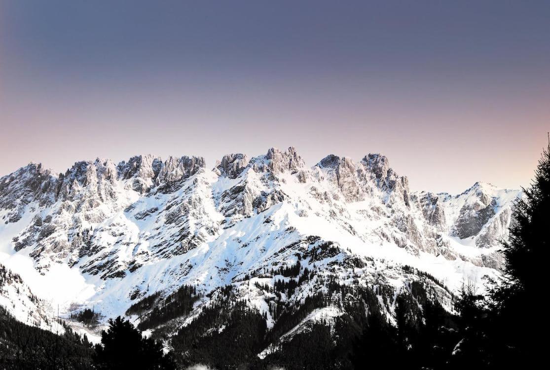 Royal Majestic View Point Lodge Manali  Bagian luar foto